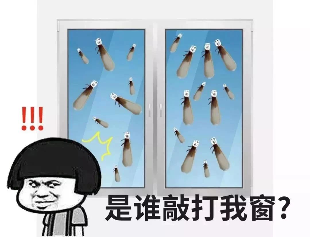 60f795e6c870d.jpg